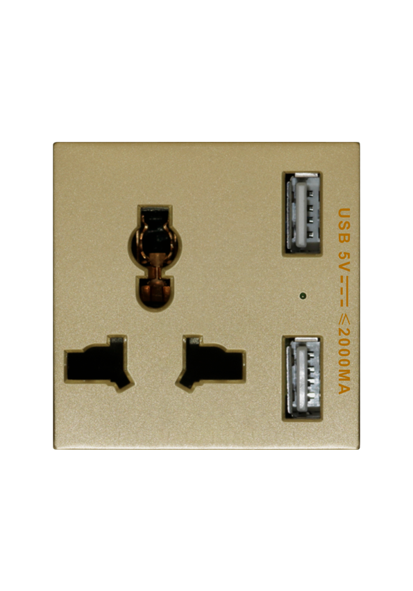 SOL Universal switched socket with 2 USB Charger  Gold  Color UK Size