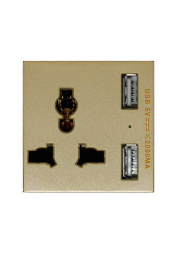 [SOL-PLG-USB-G] SOL Universal switched socket with 2 USB Charger  Gold  Color UK Size