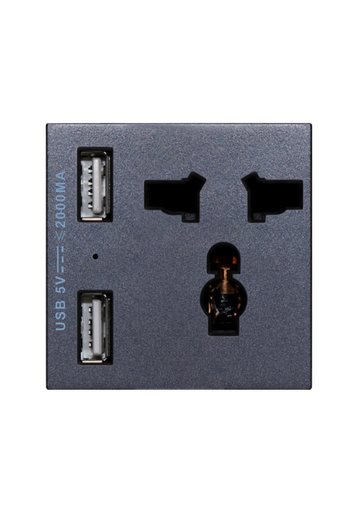 [SOL-PLG-USB-A] SOL Universal switched socket with 2 USB Charger  Gray Color UK Size